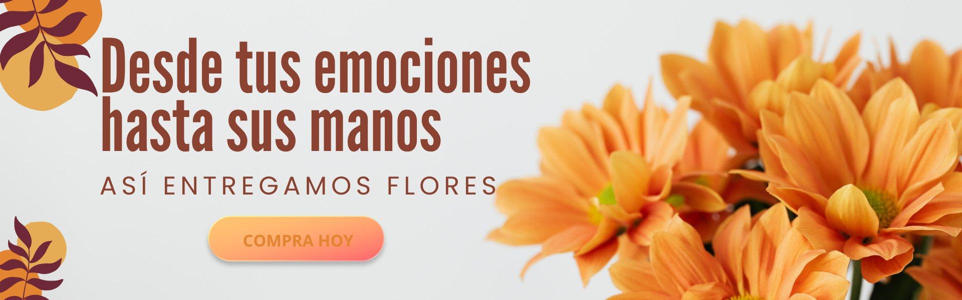ramos de flores|flores cucuta|envio a domicilio